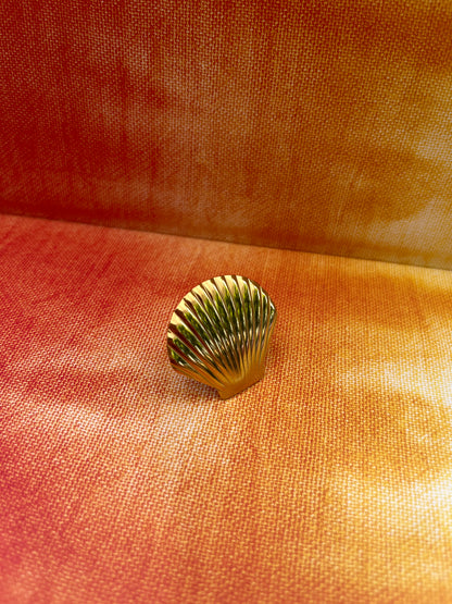 Bague Coquillage